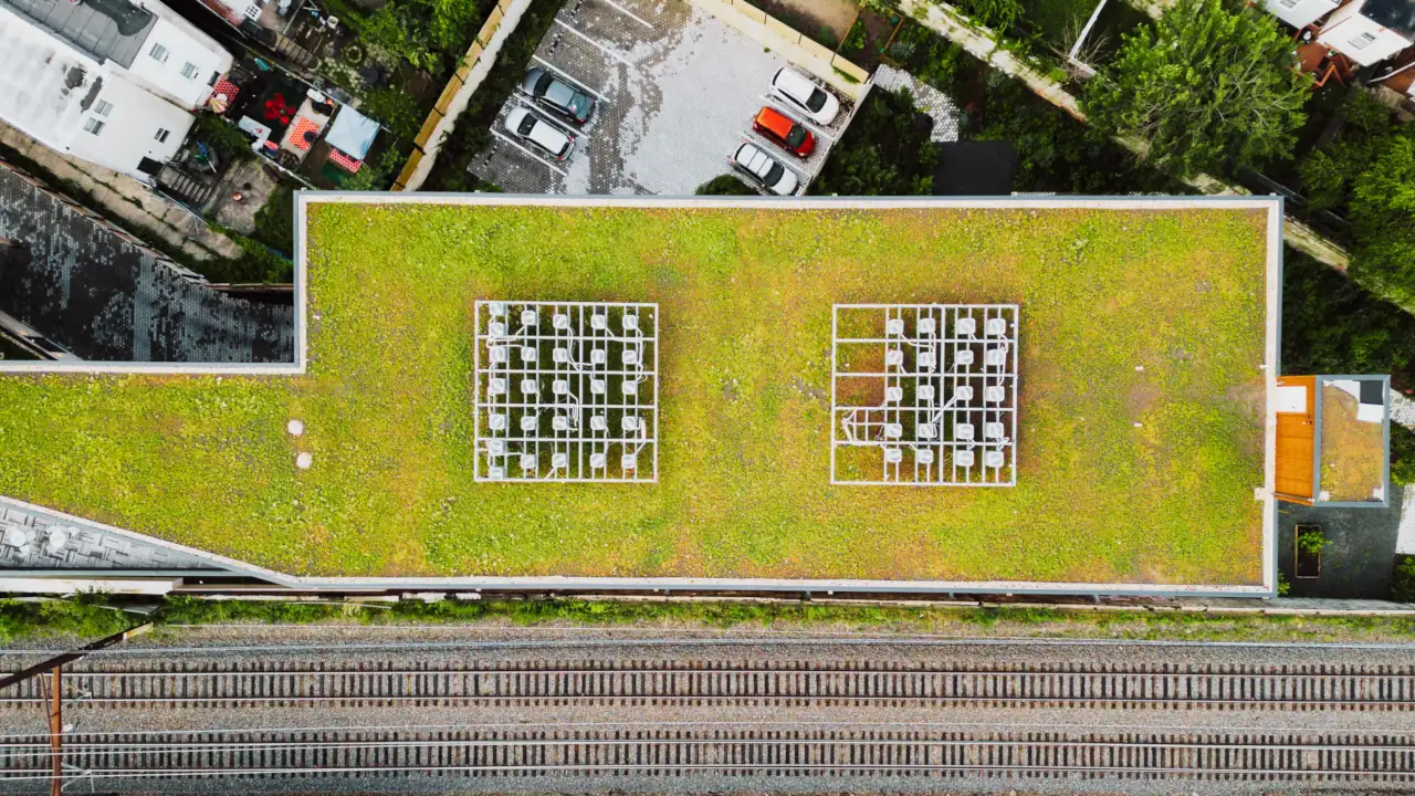 Sustainable green roof