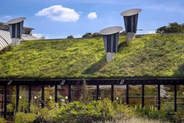 Green Roofs