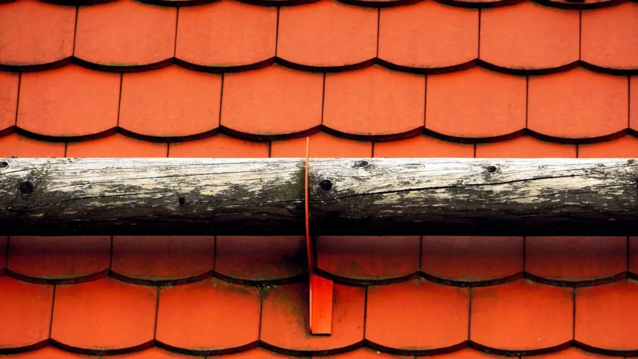Roof repair service